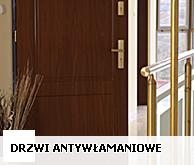 /drzwi_antywlamaniowe